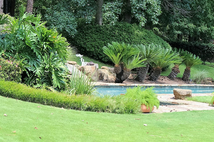 Beautiful-Swimming-pool-landscaping.jpg