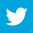 Twitter_Icon color